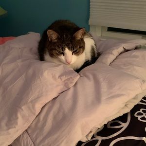 Meet your Posher, Emma